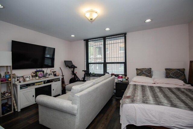 3900 N Pine Grove Ave Unit 203, Chicago, IL 60613 - bedroom featuring dark wood-type flooring and recessed lighting