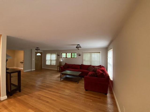 10724 S Ridgeway Ave, Chicago, IL 60655 - living room with light wood finished floors and baseboards