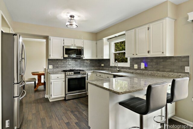 707 W Nichols Rd, Arlington Heights, IL 60004 - kitchen with stainless steel appliances, a peninsula, a sink, light stone counters, and dark wood-type flooring