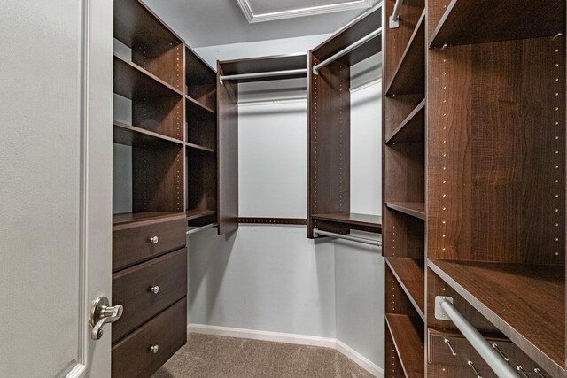 79 Willow Pkwy, Buffalo Grove, IL 60089 - spacious closet featuring carpet