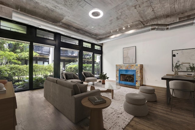 1110 W 15th St Unit 114, Chicago, IL 60608 - living room featuring wood finished floors, a fireplace, plenty of natural light, and a high ceiling