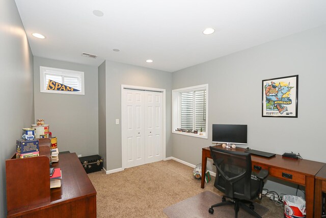 326 Austin Ct, Yorkville, IL 60560 - photo 28