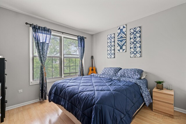 870 N Auburn Woods Dr, Palatine, IL 60067 - bedroom with light wood finished floors and baseboards