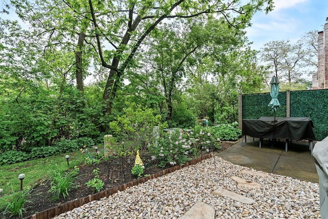 870 N Auburn Woods Dr, Palatine, IL 60067 - view of patio / terrace