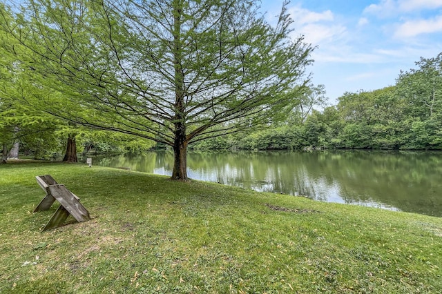 870 N Auburn Woods Dr, Palatine, IL 60067 - water view