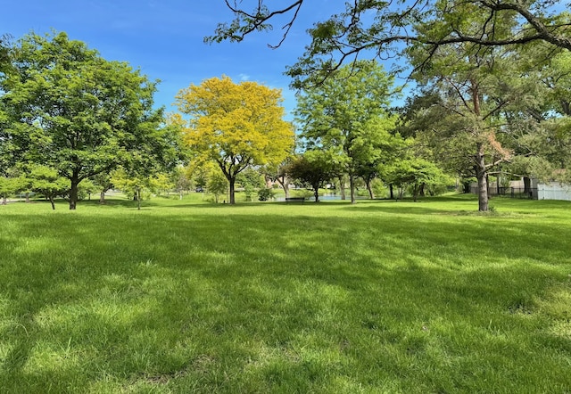 828 Graceland Ave Unit 404, Des Plaines, IL 60016 - view of green lawn