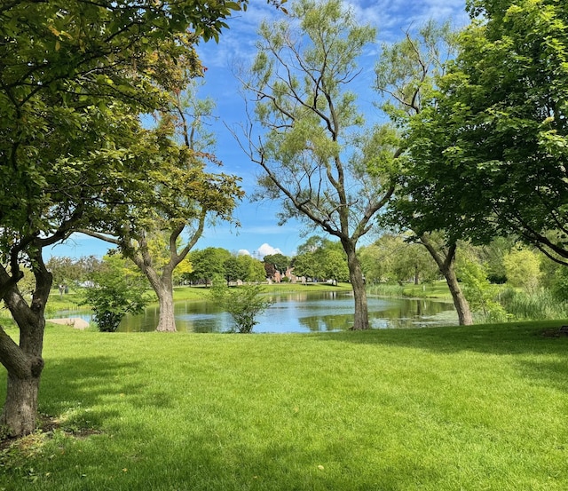 828 Graceland Ave Unit 404, Des Plaines, IL 60016 - water view