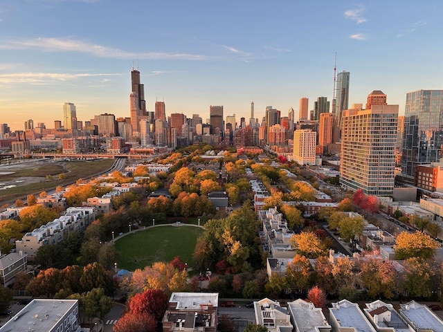 1530 S State St Unit 17B, Chicago, IL 60605 - view of city skyline
