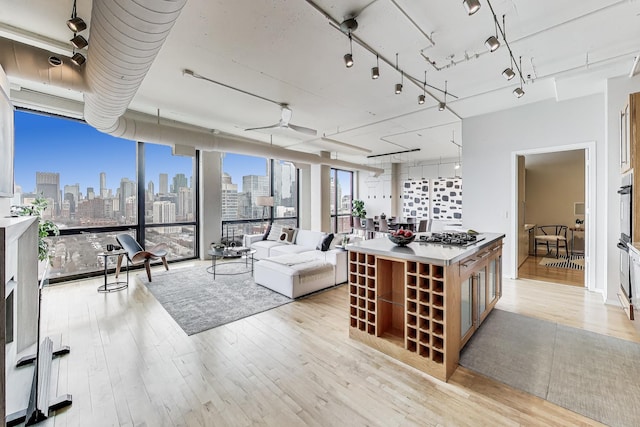 1530 S State St Unit 17B, Chicago, IL 60605 - living room with a skyline view, light wood-type flooring, and ceiling fan