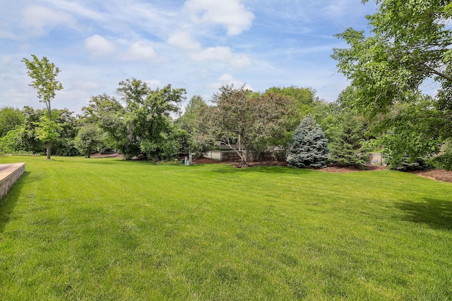 841 Turnbridge Cir, Naperville, IL 60540 - view of green lawn