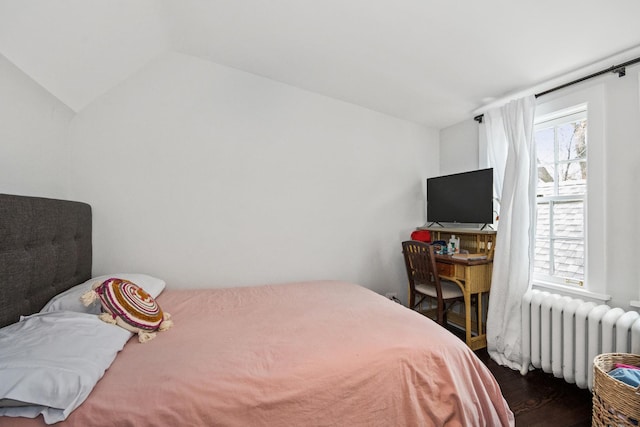 2906 Lincoln St, Evanston, IL 60201 - bedroom with radiator, multiple windows, lofted ceiling, and wood finished floors