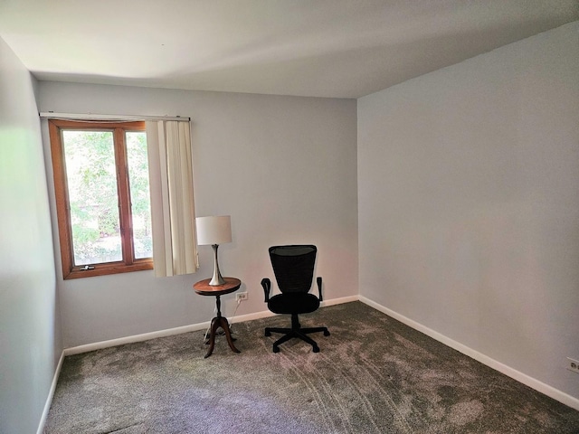 1830 Chestnut Ave Unit 1830, Glenview, IL 60025 - sitting room featuring carpet floors and baseboards