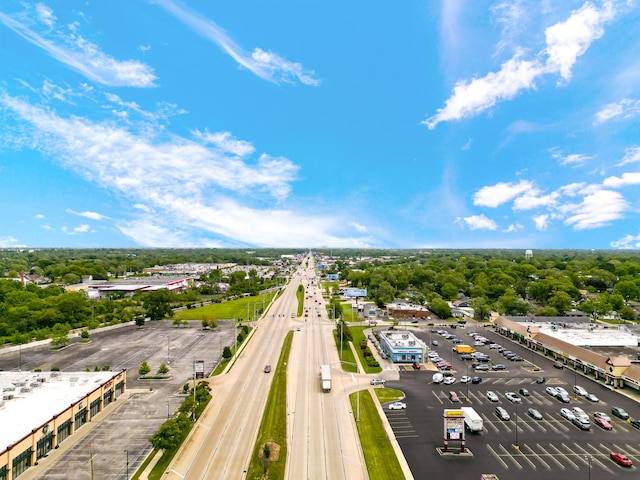 521 N 3rd Ave, Villa Park, IL 60181 - aerial view of a tree filled landscape and a main thoroughfare