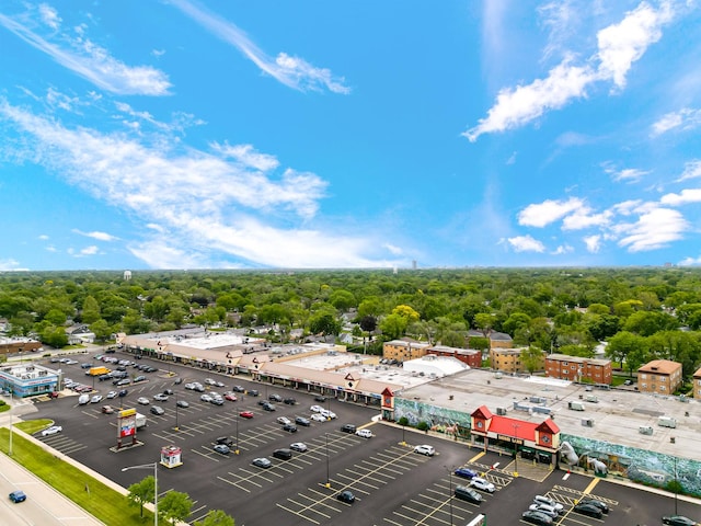 521 N 3rd Ave, Villa Park, IL 60181 - bird's eye view of a forest