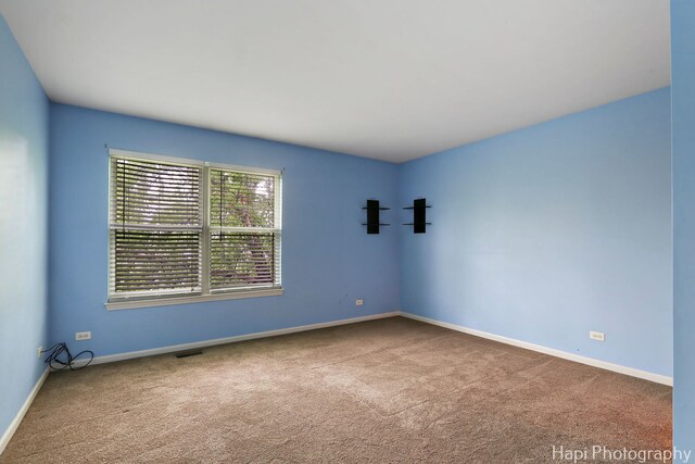 996 Highgate Ln, Grayslake, IL 60030 - empty room with carpet flooring and baseboards