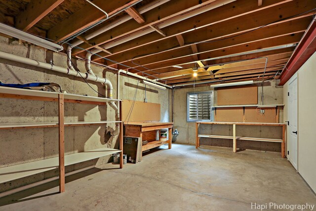 996 Highgate Ln, Grayslake, IL 60030 - unfinished basement with a workshop area