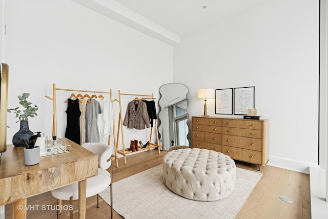 363 E Wacker Dr Unit 7501, Chicago, IL 60601 - spacious closet featuring light wood-style flooring