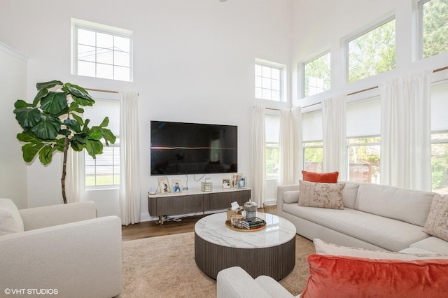 16657 S Windsor Ln Unit 16657, Lockport, IL 60441 - living room featuring a towering ceiling and wood finished floors
