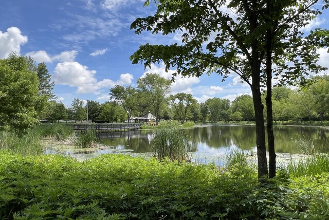 440 W Lake Park Dr, Addison, IL 60101 - photo 21