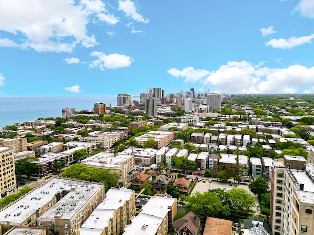 1237 W Farwell Ave Unit 2W, Chicago, IL 60626 - view of urban area with a nearby body of water