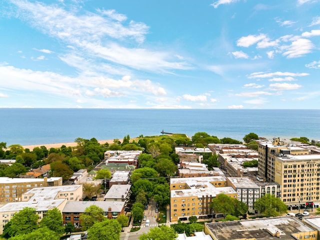 1237 W Farwell Ave Unit 2W, Chicago, IL 60626 - drone / aerial view of a large body of water