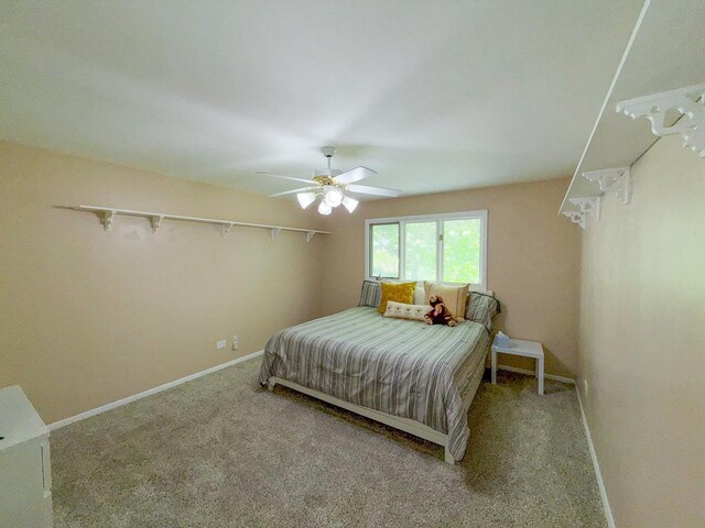 12533 S Iroquois Rd, Palos Park, IL 60464 - carpeted bedroom with baseboards and a ceiling fan