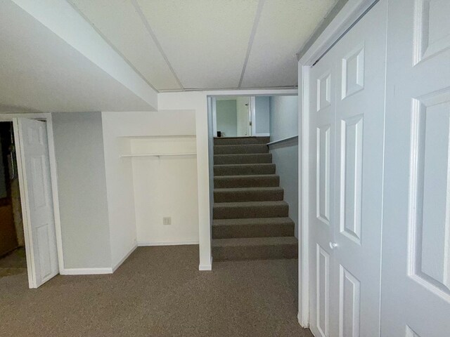 12533 S Iroquois Rd, Palos Park, IL 60464 - finished below grade area with stairs, baseboards, and carpet floors