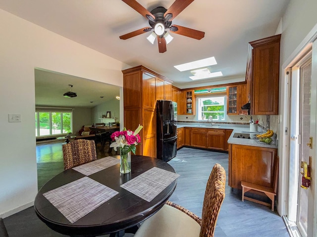 12533 S Iroquois Rd, Palos Park, IL 60464 - dining space with a skylight, plenty of natural light, ceiling fan, and wood finished floors