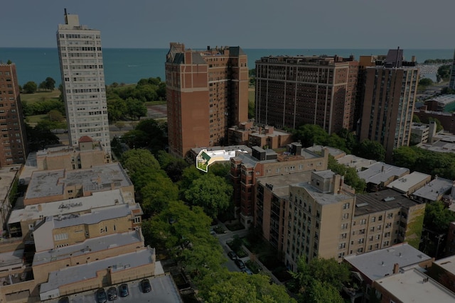 635 W Sheridan Rd Unit 3, Chicago, IL 60613 - city view with a large body of water