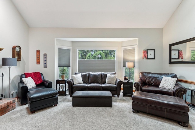 310 Westhaven Cir, Geneva, IL 60134 - view of carpeted living area