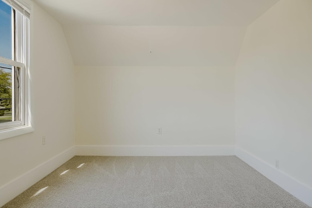 1970 E 170th St, South Holland, IL 60473 - unfurnished room with light carpet, lofted ceiling, and baseboards