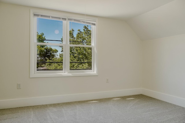 1970 E 170th St, South Holland, IL 60473 - bonus room with carpet, vaulted ceiling, and baseboards