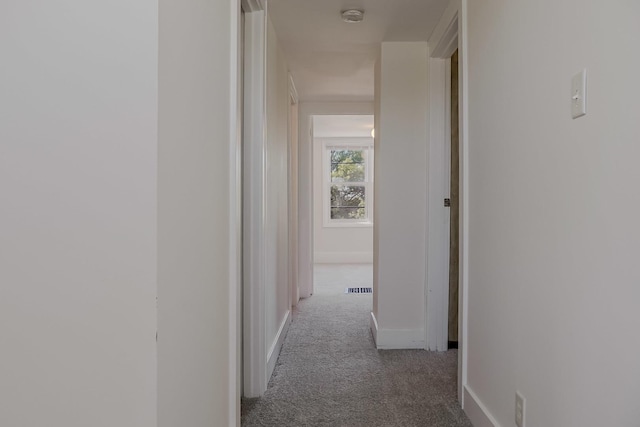 1970 E 170th St, South Holland, IL 60473 - hallway featuring carpet and baseboards