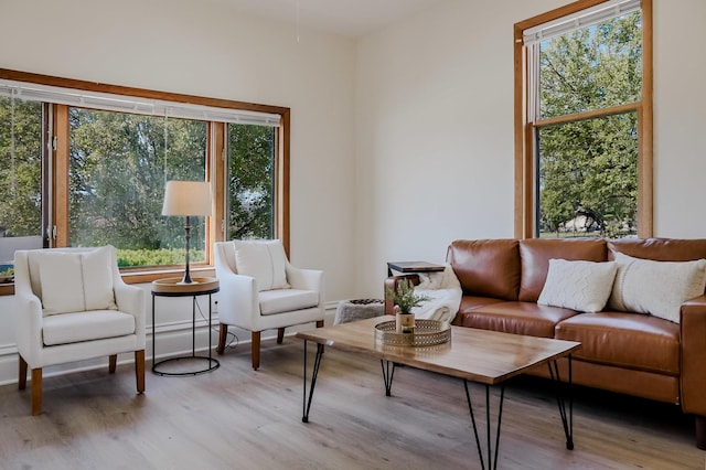 1970 E 170th St, South Holland, IL 60473 - living area with light wood-style floors