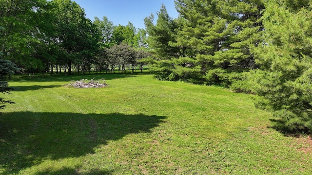 701A Hill Dr, Rock Falls, IL 61071 - view of green lawn