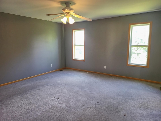 383 Prairie Knoll Dr, Poplar Grove, IL 61065 - unfurnished room with plenty of natural light, ceiling fan, and carpet