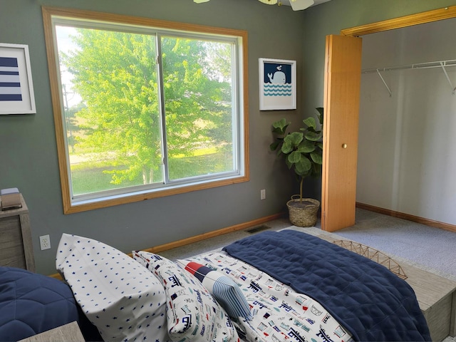 383 Prairie Knoll Dr, Poplar Grove, IL 61065 - carpeted bedroom with multiple windows and a closet