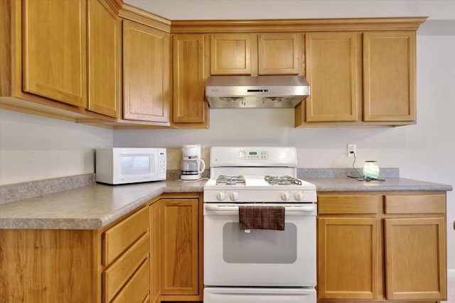3911 Summer Sage Ct, Champaign, IL 61822 - kitchen with white appliances, range hood, and light countertops