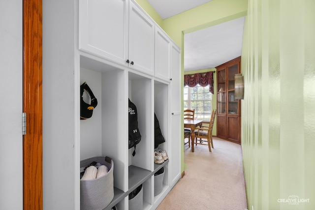 25411 W Juniper Ct, Plainfield, IL 60585 - mudroom featuring light carpet