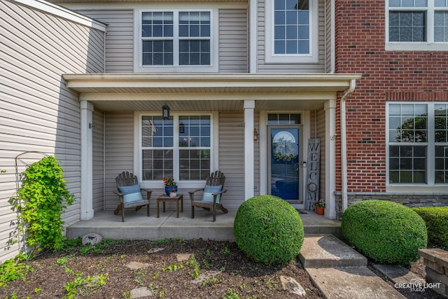 25411 W Juniper Ct, Plainfield, IL 60585 - entrance to property featuring a porch and brick siding