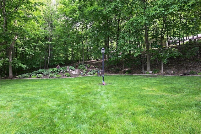 38 Coy Park Dr, Newark, IL 60541 - photo 29