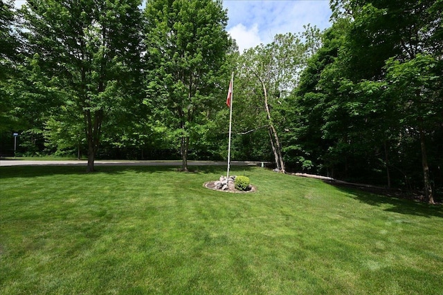 38 Coy Park Dr, Newark, IL 60541 - photo 30
