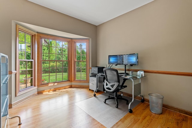 1514 Triple Crown Ct, Saint Charles, IL 60174 - home office with baseboards, plenty of natural light, and wood finished floors
