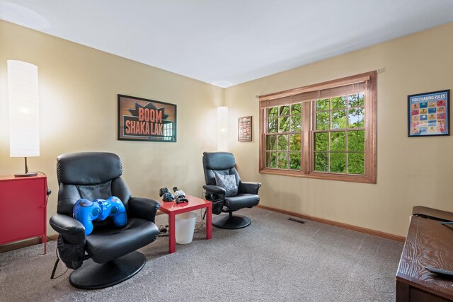1514 Triple Crown Ct, Saint Charles, IL 60174 - sitting room with carpet floors and baseboards