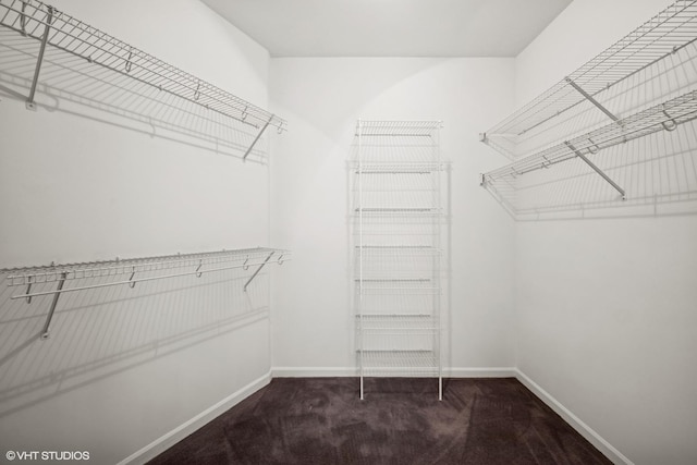 1 Renaissance Pl Unit 4Ph, Palatine, IL 60067 - walk in closet with carpet