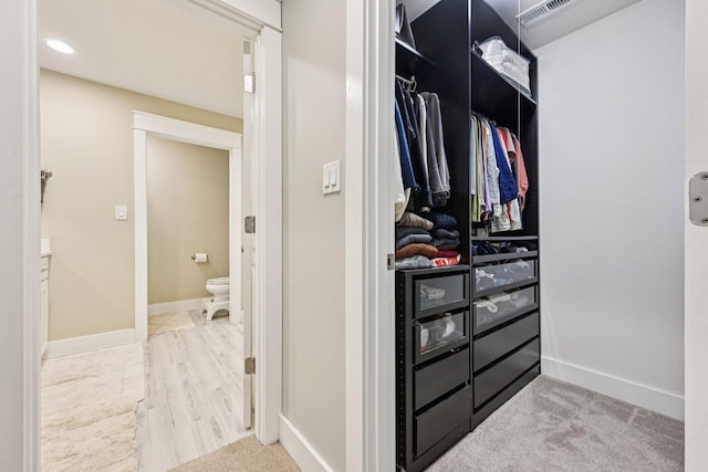 93 Liberty St, West Dundee, IL 60118 - view of walk in closet