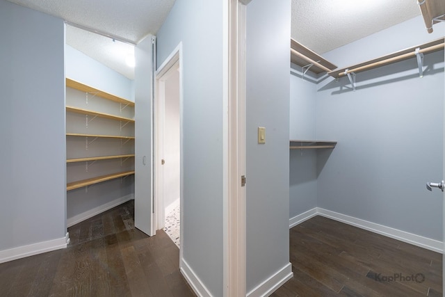 222 N Columbus Dr Unit 2808, Chicago, IL 60601 - spacious closet with dark wood-style floors