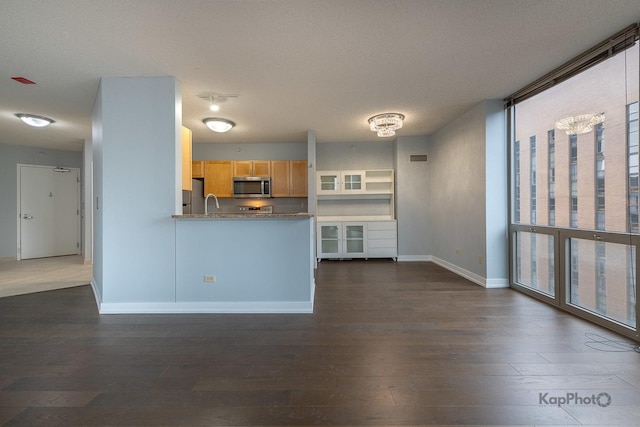 222 N Columbus Dr Unit 2808, Chicago, IL 60601 - kitchen with appliances with stainless steel finishes, dark wood-style floors, baseboards, a peninsula, and a sink