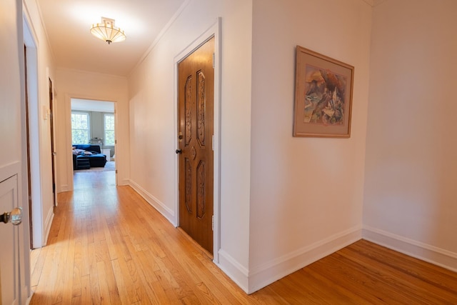 6652 N Glenwood Ave Unit 3N, Chicago, IL 60626 - hallway with light wood finished floors, ornamental molding, and baseboards