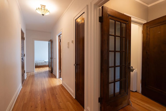 6652 N Glenwood Ave Unit 3N, Chicago, IL 60626 - hallway with wood finished floors, ornamental molding, radiator heating unit, and baseboards